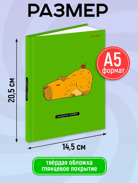 48-3664  2
