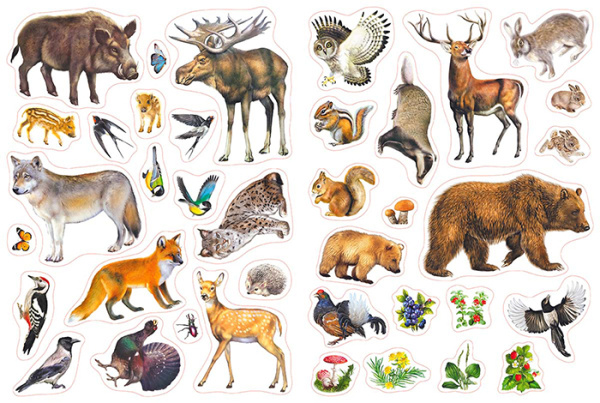 pict_bafdd24e-e0ae-4239-99f3-e9911e854cc3